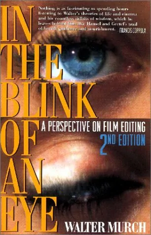 In the Blink of a Eye Buch