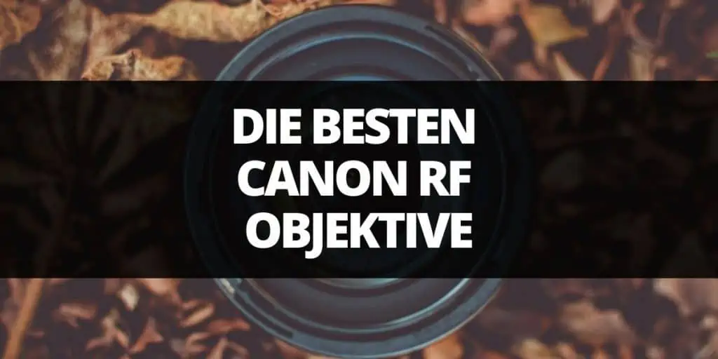 die besten canon rf objektive