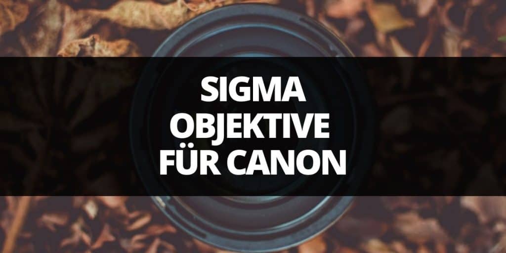 sigma objektive für canon kameras