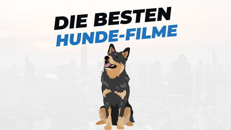 Beitragsbild mit Titel "die-besten-Filme-mit-Hunden" auf weißem Hintergrund mit Abbildung von Hund