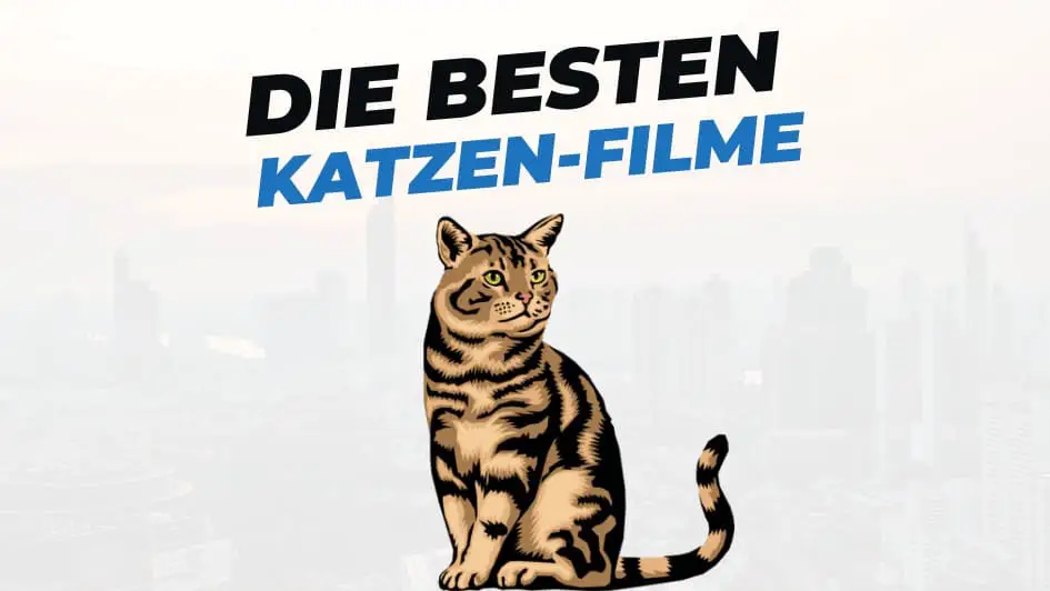 Beitragsbild mit Titel "die-besten-Filme-mit-katzen" auf weißem Hintergrund mit Abbildung von Katze
